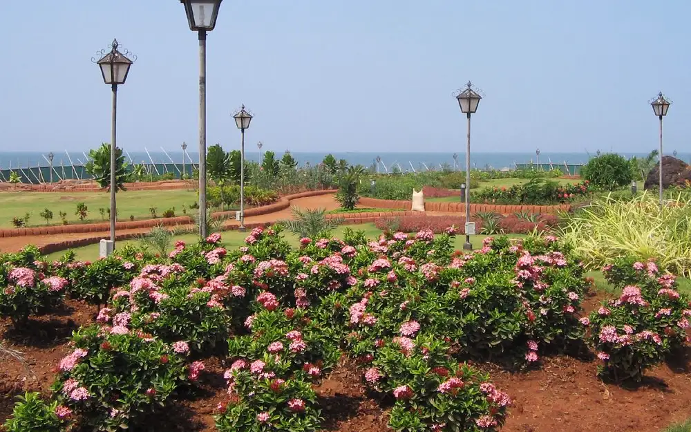 Sunset Point, Rock Garden