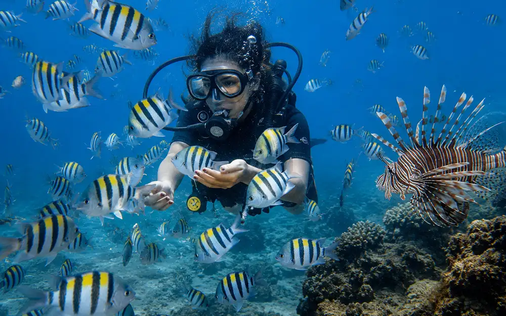 Scuba Diving