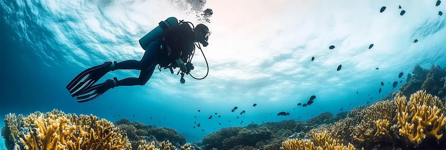 Scuba Diving